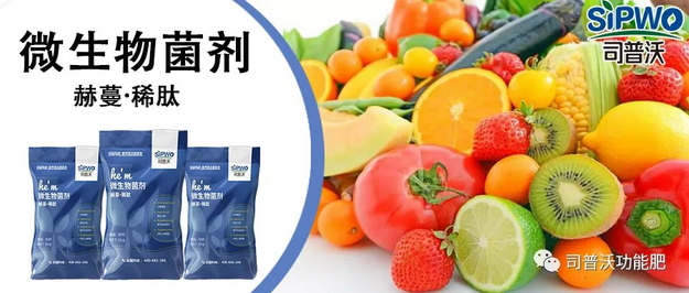 赫蔓微生物菌劑-分解毒素、改良土壤、調(diào)節(jié)生命活動、抑制土壤病菌