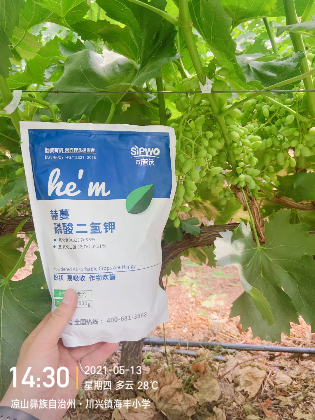 磷酸二氫鉀的辨別真假現(xiàn)場，99%以上是假貨！