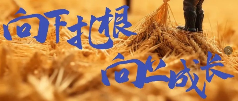 向下扎根，向上成長(zhǎng)，司普沃6月市場(chǎng)服務(wù)一線效果反饋