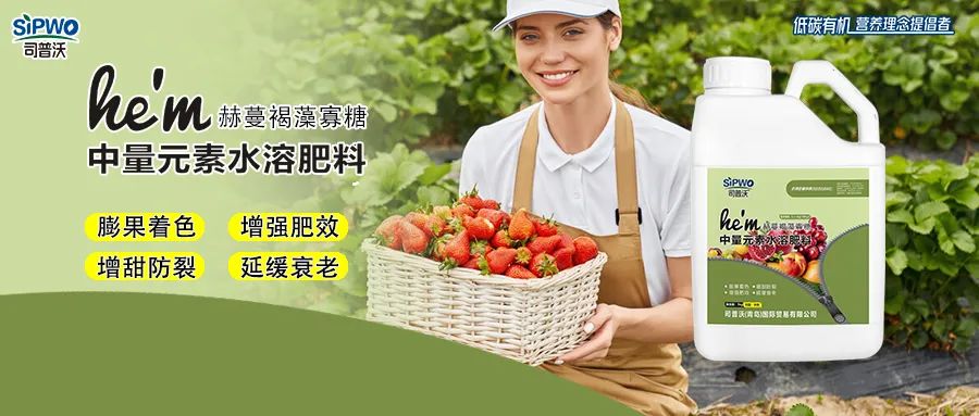 褐藻寡糖--中量元素水溶肥|膨果著色、增強肥效、增甜防裂、延緩衰老