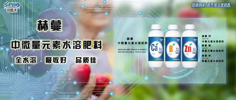 中微量元素鈣、硼、鋅|移動快、吸收好、營養(yǎng)全、品質佳