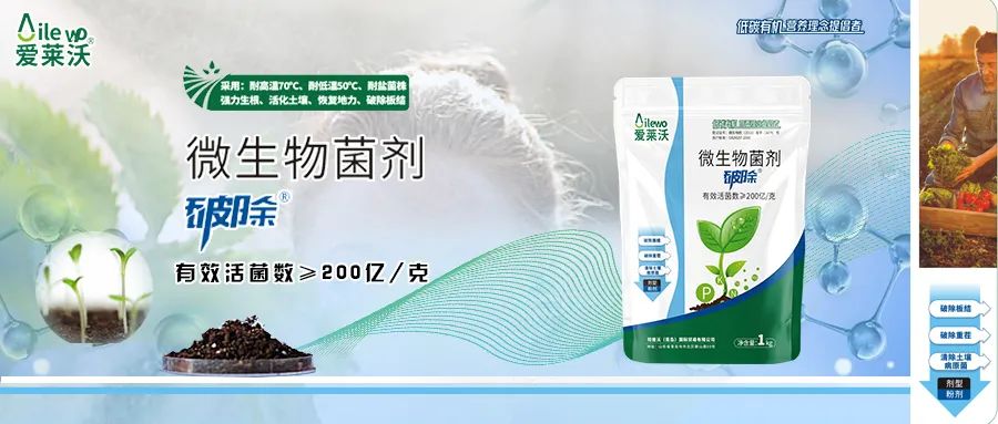 愛萊沃·微生物菌劑_破除|沃土、生根、抗病一步到位