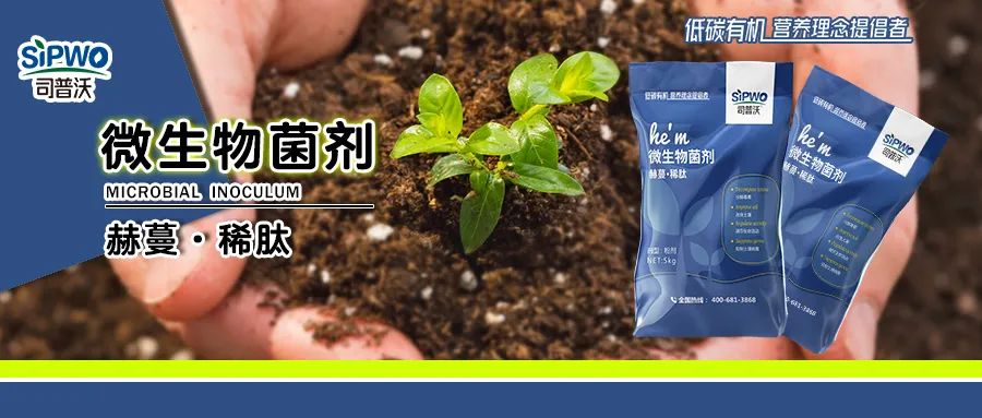 強需之下爆火的產品—赫蔓-稀肽·微生物菌劑