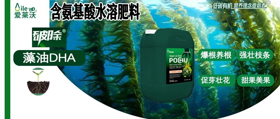 愛萊沃·破除藻油DHA|爆根養(yǎng)根、強(qiáng)壯枝條、促芽壯花、甜果美果