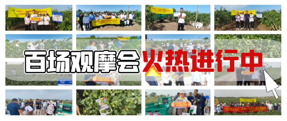 司普沃盛啟百場(chǎng)觀摩會(huì)，**檢驗(yàn)產(chǎn)品熱潮正當(dāng)時(shí)