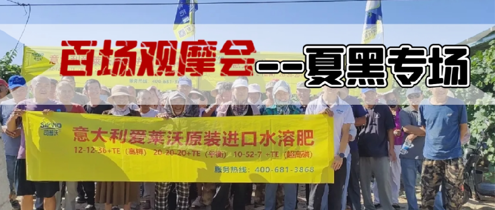 新疆博樂(lè)地區(qū)夏黑葡萄觀摩會(huì)圓滿(mǎn)成功，司普沃功能肥閃耀全場(chǎng)
