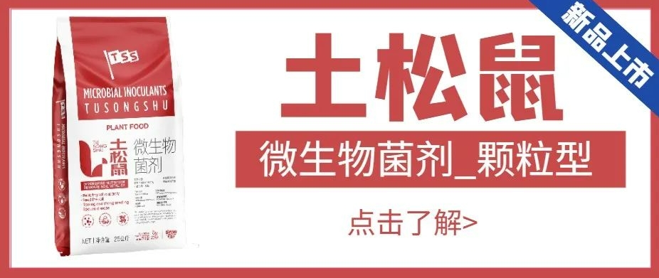 【匠心出品】微生物菌劑-土松鼠|恢復(fù)地力、肥沃土壤、爆根壯苗、降低病害
