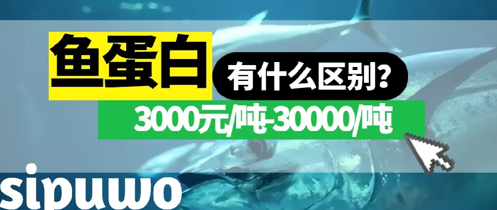 3000-30000元/噸的魚蛋白有多大差距？一篇文章告訴你！